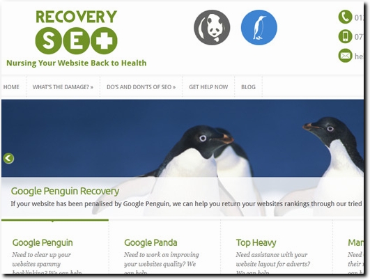 http://www.recoveryseo.com/ website
