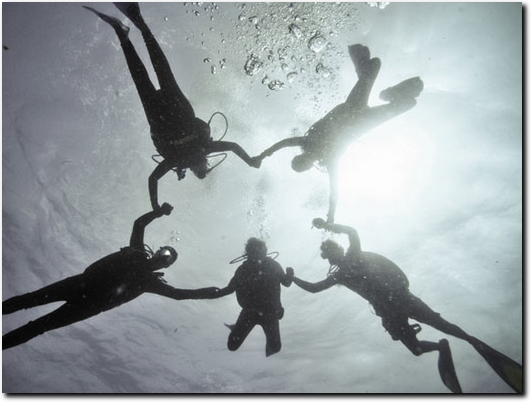 http://www.cenote-diving-mexico.com/ website