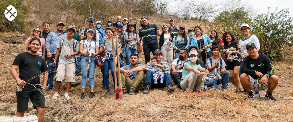 ecuadorianhands 11000 palosanto trees reforested