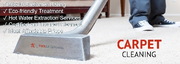 prolux cleaning