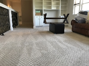 Sparky Carpet Cleaning