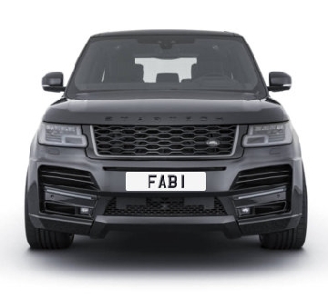 FAB Number 1 Plates