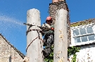 Tree Felling & Removal in South West London