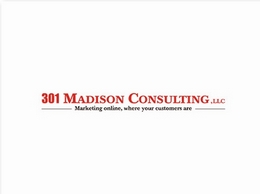 https://301consulting.com/ website