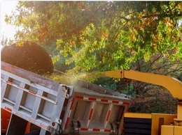 https://www.stamfordtreepros.com/ website