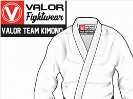 https://www.valorfightwear.com/ website