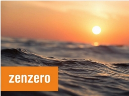 https://zenzero.co.uk/ website