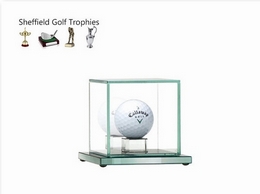 https://www.golftrophy.co.uk/ website