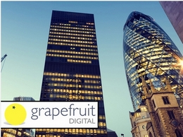 https://grapefruitseo.co.uk/ website