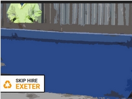 https://skiphire-exeter.co.uk/ website