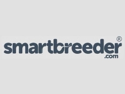 https://smartbreeder.com/ website