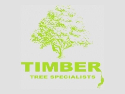 https://www.timbertreespecialists.co.uk/ website