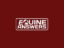 https://www.equineanswers.co.uk/ website