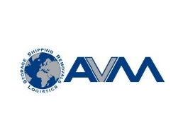 https://www.avmstorage.com/ website