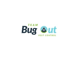 https://teambugout.com/ website