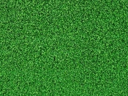 https://www.zestartificialgrass.co.uk/ website