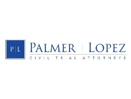 https://palmerinjurylaw.com/ website