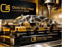 https://www.goldgripvises.com/ website
