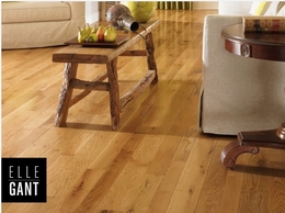 https://www.elleganthomedesign.com/ website
