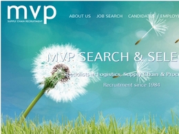 https://www.mvp-search.com/ website