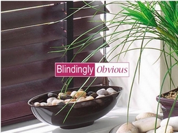 https://www.blindinglyobvious.co.uk/ website