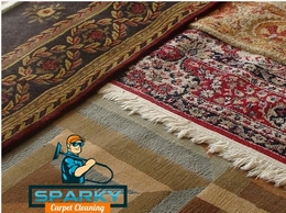 http://www.sparkycarpetcleaning.com/ website