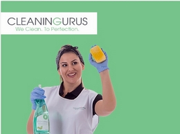 https://www.thecleaninggurus.co.uk/ website