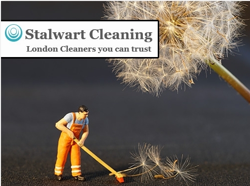 https://www.stalwartcleaning.co.uk/ website