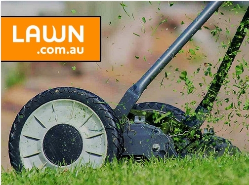 https://lawn.com.au/ website