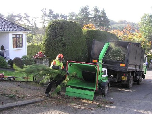 https://www.arborist-direct.co.uk/location/edinburgh-tree-surgeon/ website