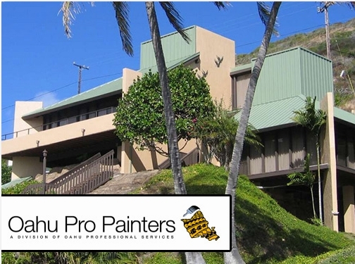 https://www.oahupropainters.com/ website