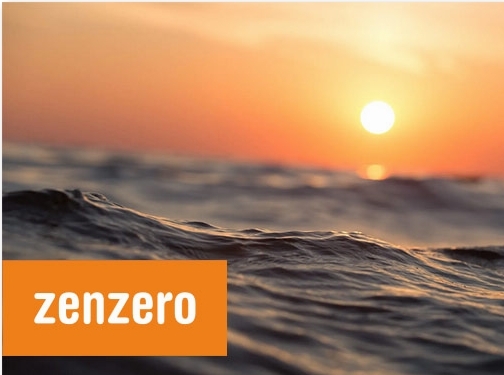 https://www.zenzero.co.uk/ website