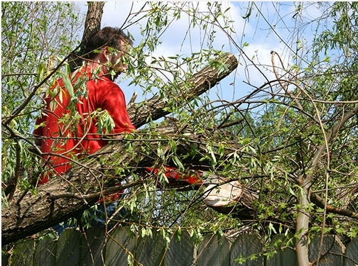 https://www.treeservicehillsboro.com/ website