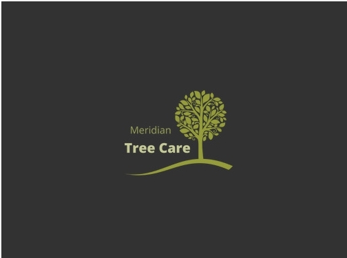 https://www.treecaremeridian.com/ website