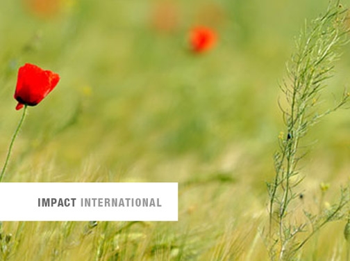 https://www.impactinternational.com website