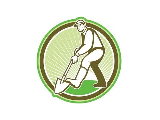 https://albanylandscapingpros.com/ website