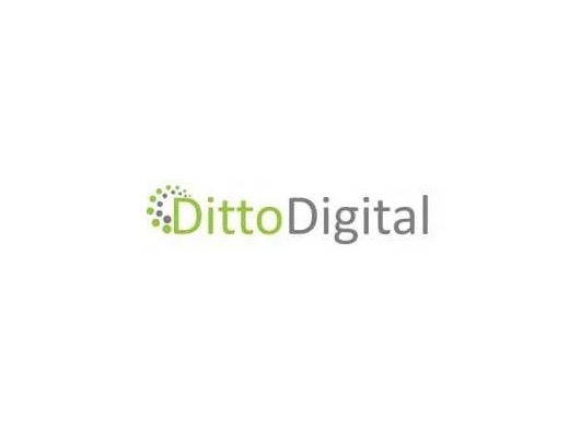 https://dittodigital.co.uk/ website
