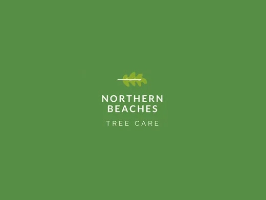 https://www.beachtreecare.com.au/ website