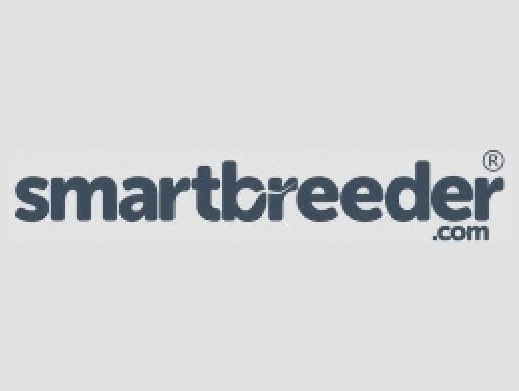 https://smartbreeder.com/ website