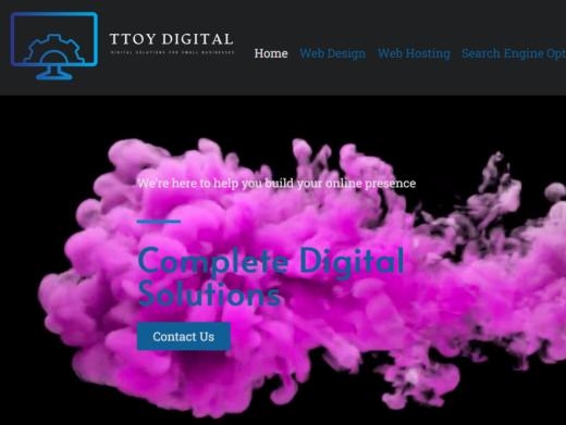 https://ttoydigital.agency/ website