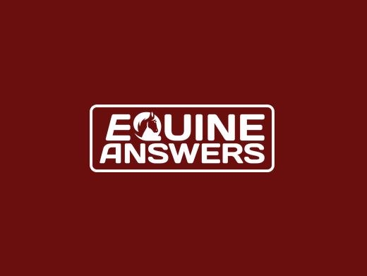 https://www.equineanswers.co.uk/ website