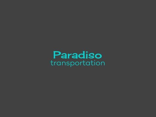 https://www.paradisotransportation.com/ website