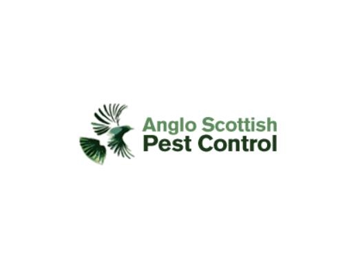 https://anglopestcontrol.scot/ website