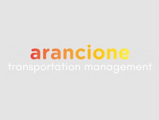 https://www.arancione-transportation.com/ website