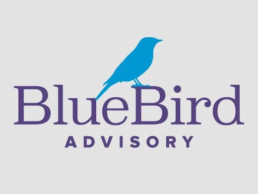 https://bluebirdadvisory.com/single-401k-guide-maximize-your-retirement-savings/ website