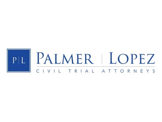https://palmerinjurylaw.com/ website