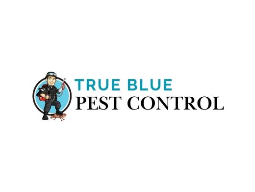 https://truebluepestcontrol.com.au/ website