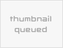 https://www.thebiscuitfactory.com/ website