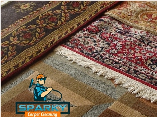 http://www.sparkycarpetcleaning.com/ website