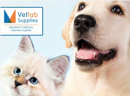 https://vetlabsupplies.co.uk/ website